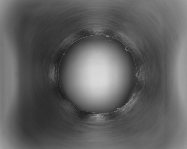 X0000102510140200808081418