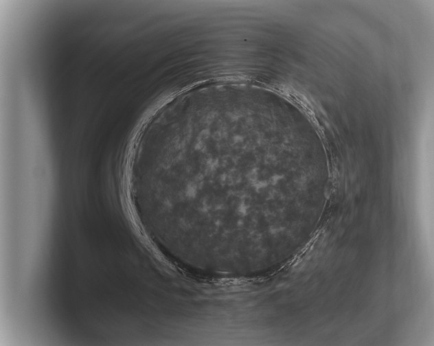 X0000102510145200808081417