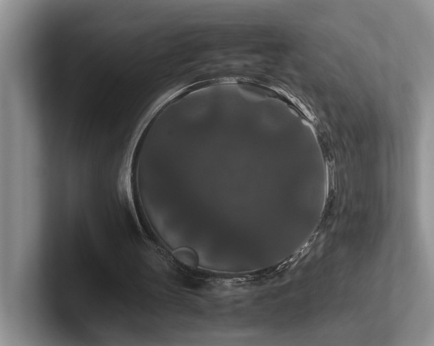 X0000102510147200808081417