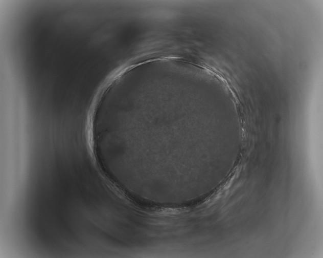 X0000102510149200808081417