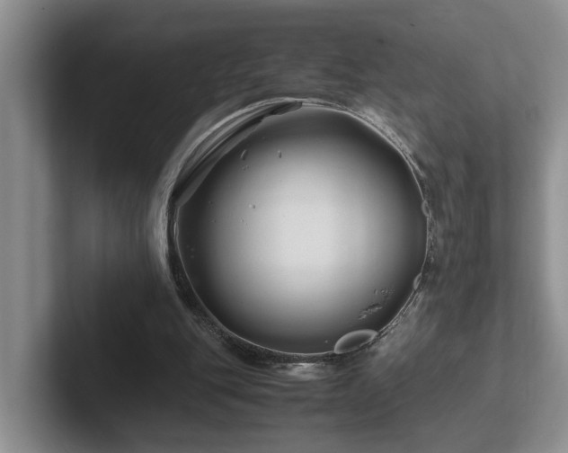 X0000102510151200808081417