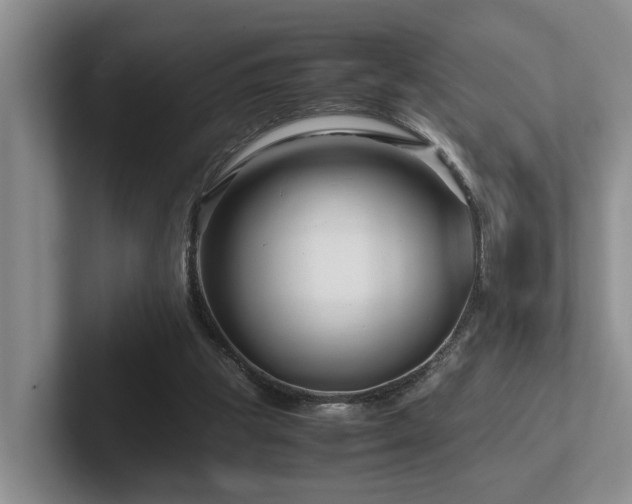X0000102510153200808081417