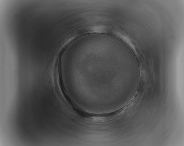 X0000102510154200808081417