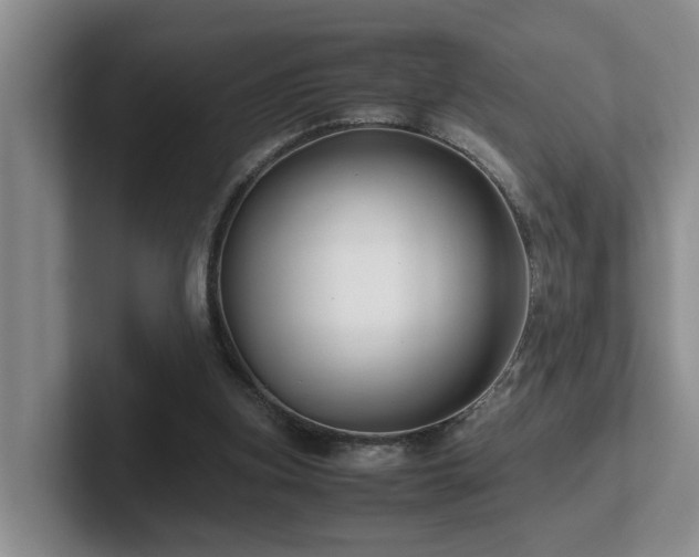 X0000102510155200808081417