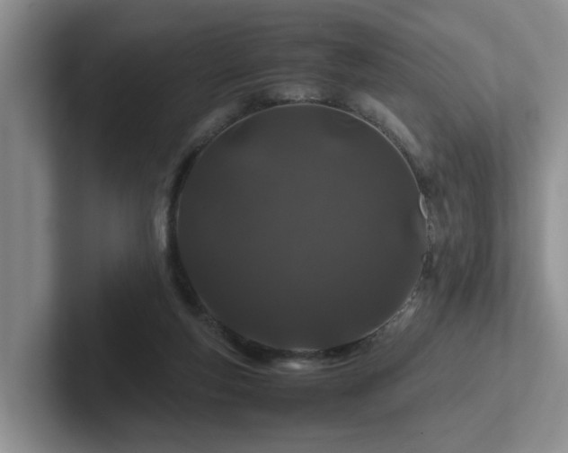 X0000102510163200808081417