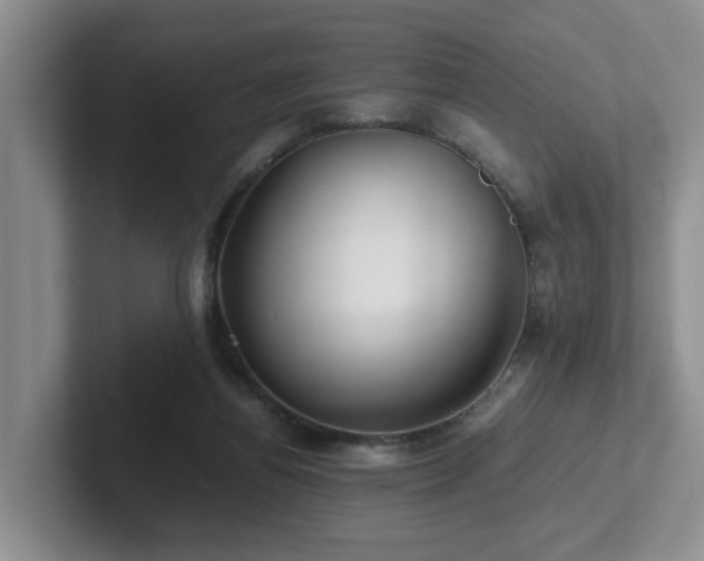 X0000102510164200808081417