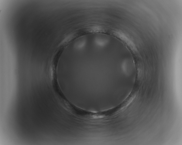 X0000102510165200808081417