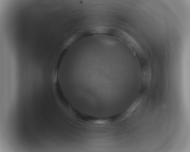 X0000102510168200808081417
