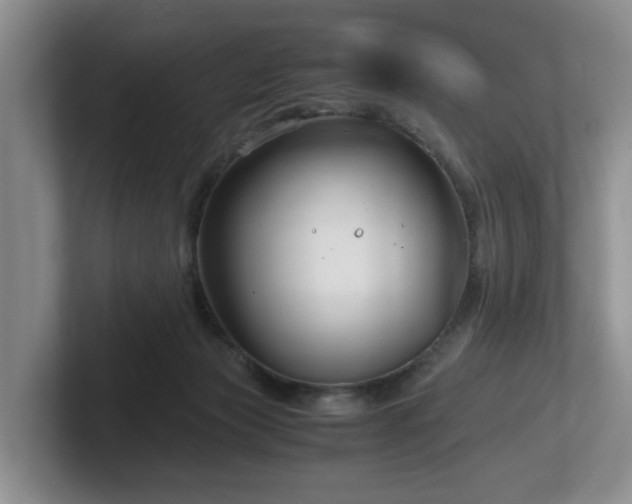 X0000102510173200808081417
