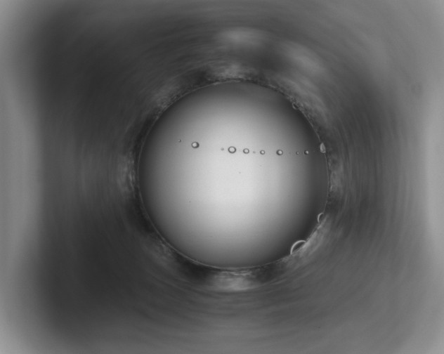 X0000102510179200808081417