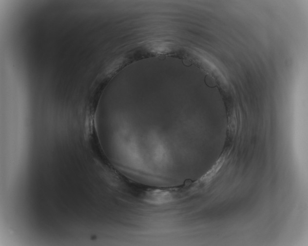 X0000102510180200808081417