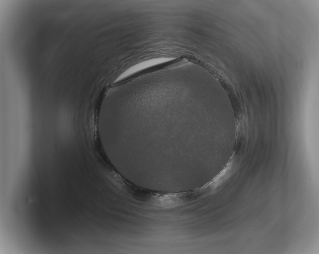 X0000102510186200808081418