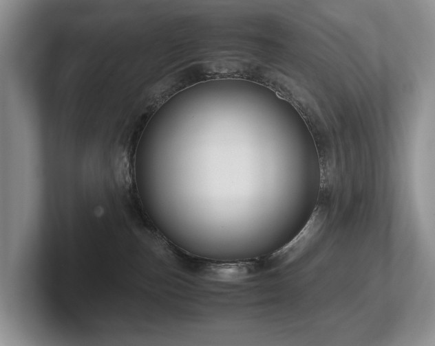 X0000102510187200808081418