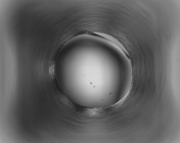 X0000102510190200808081418