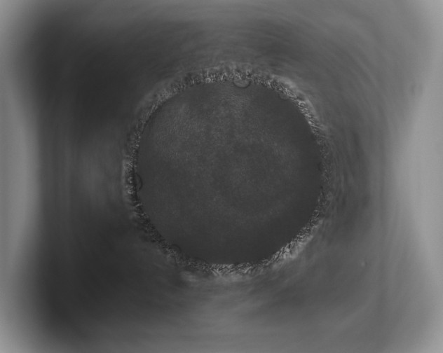 X0000102510192200808081418