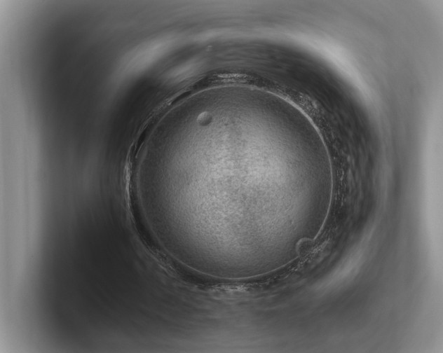 X0000102510194200808081417