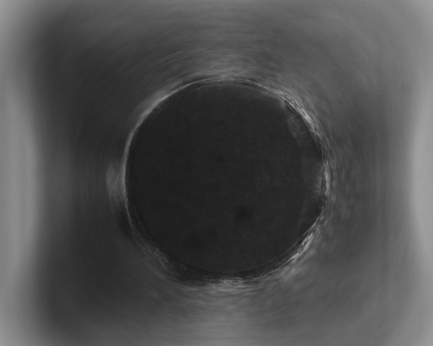 X0000102510196200808081417