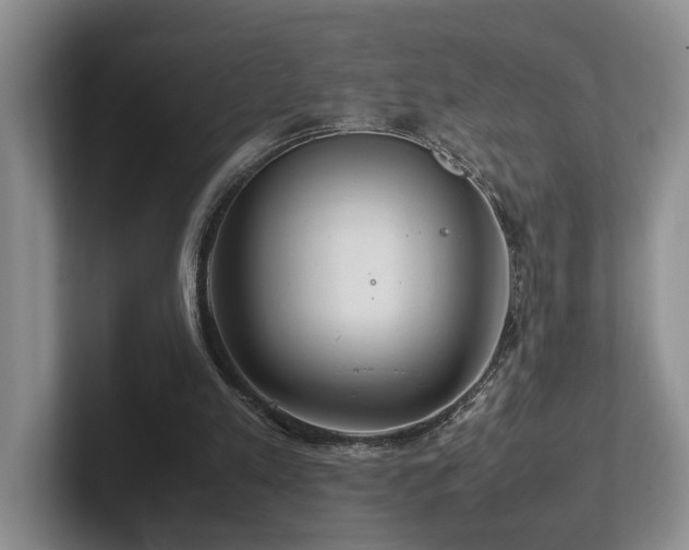 X0000102510197200808081417