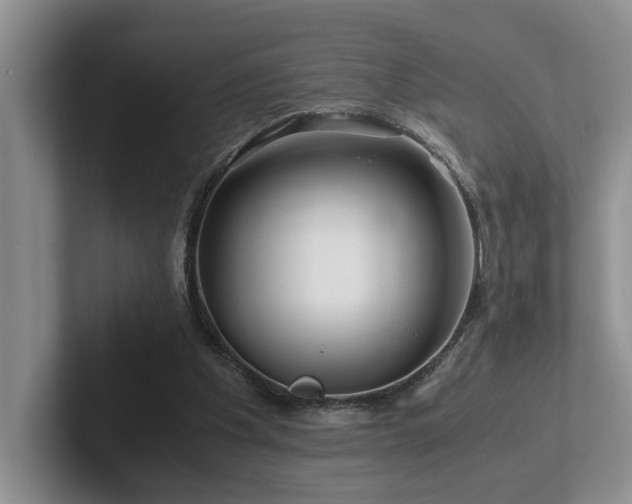 X0000102510201200808081417