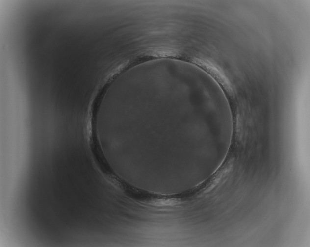 X0000102510202200808081417