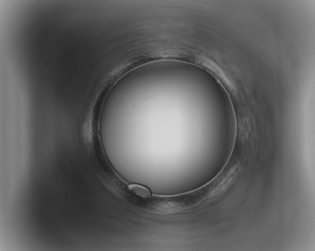 X0000102510203200808081417