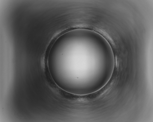 X0000102510204200808081417