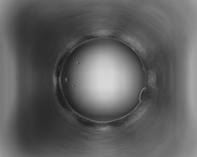 X0000102510206200808081417