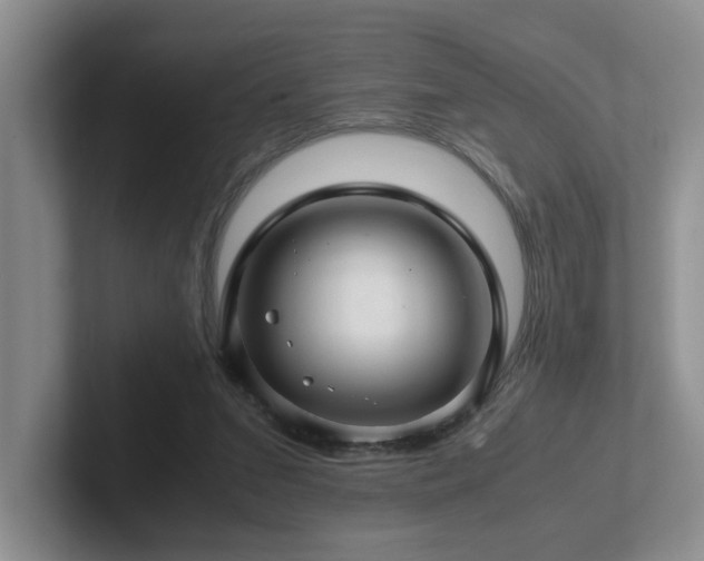 X0000102510207200808081417