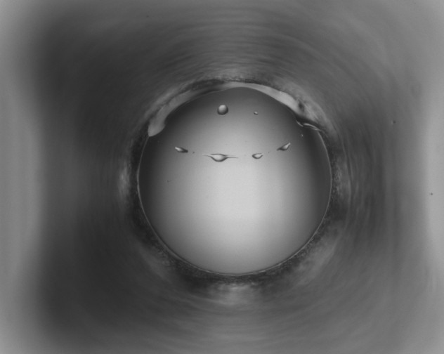 X0000102510208200808081417