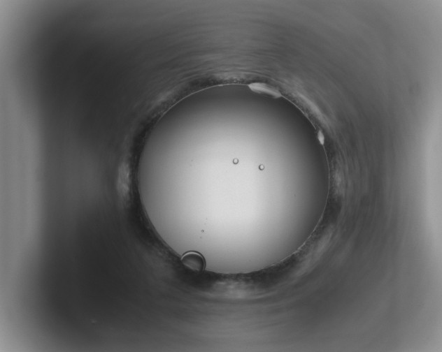 X0000102510211200808081417