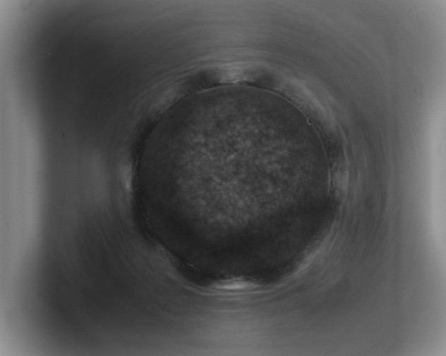 X0000102510219200808081417