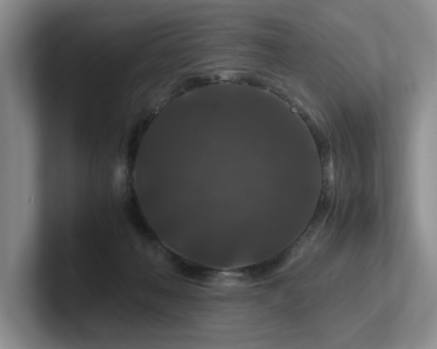 X0000102510222200808081417