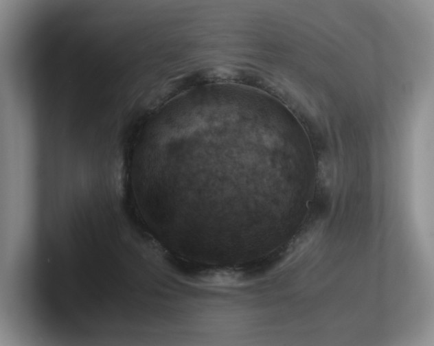 X0000102510223200808081417