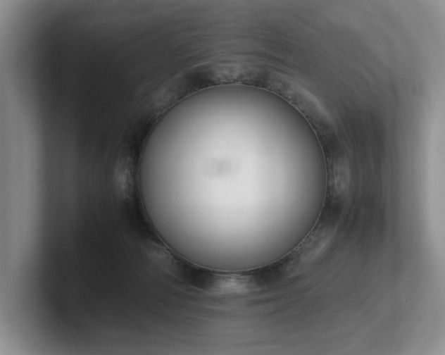 X0000102510226200808081417