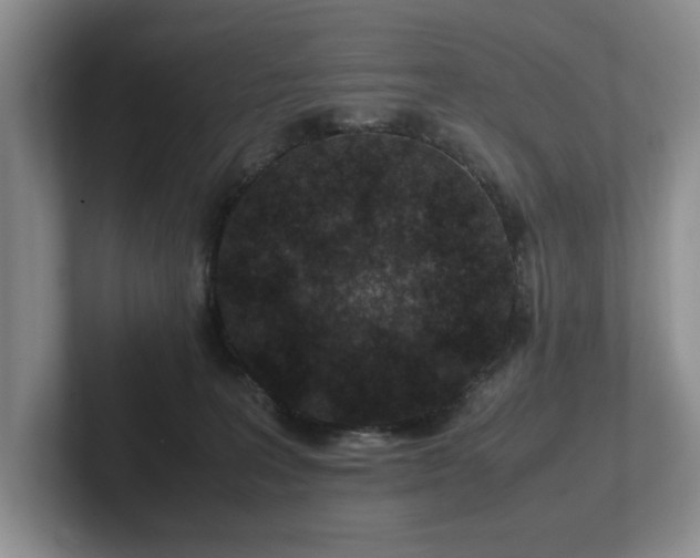 X0000102510227200808081417