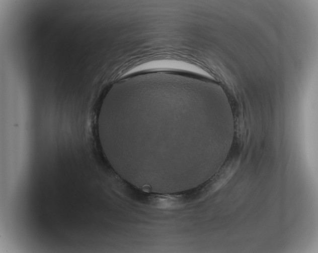 X0000102510229200808081416