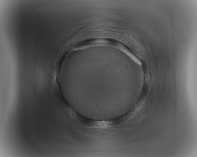 X0000102510233200808081416