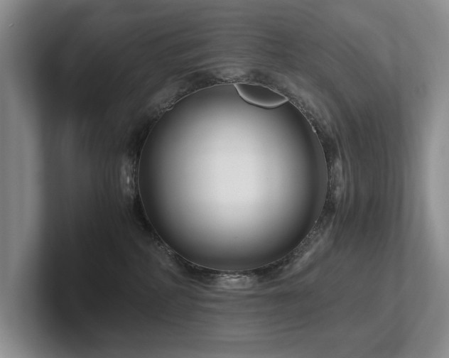 X0000102510234200808081416
