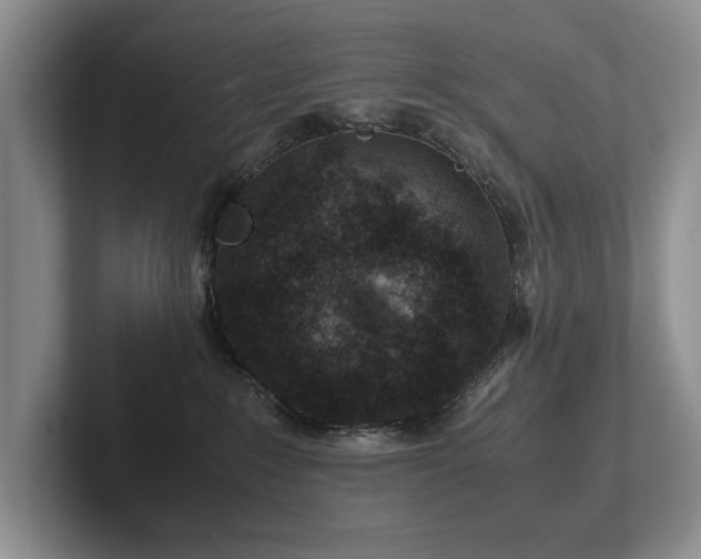 X0000102510235200808081416