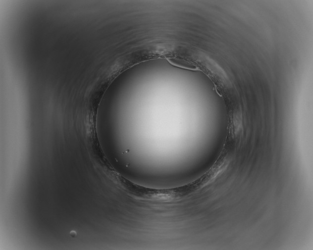 X0000102510236200808081416