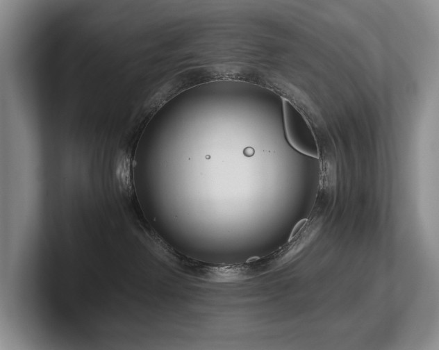 X0000102510238200808081416