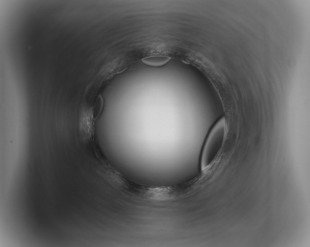 X0000102510240200808081416
