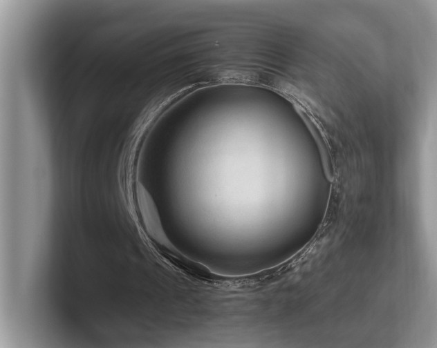 X0000102510241200808081416