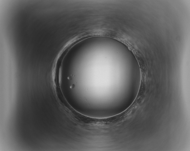 X0000102510244200808081416