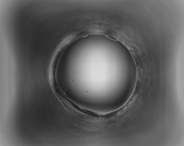 X0000102510245200808081416