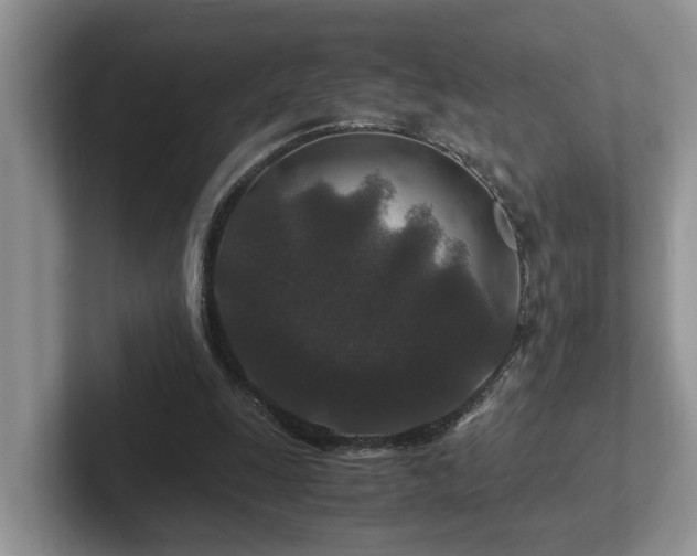 X0000102510247200808081416