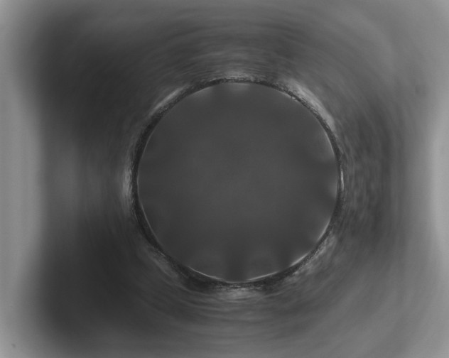 X0000102510249200808081416