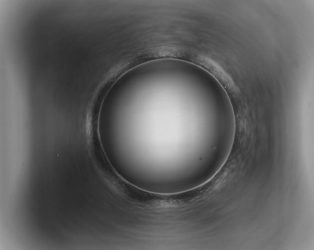 X0000102510250200808081416