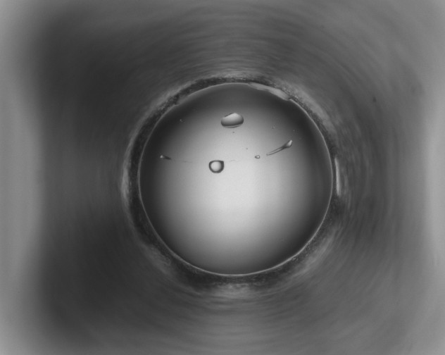 X0000102510252200808081416
