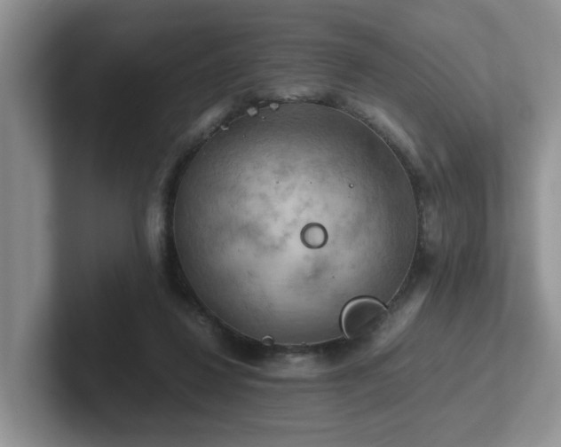 X0000102510260200808081416
